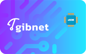 Gibnet Unlimited - 3 days