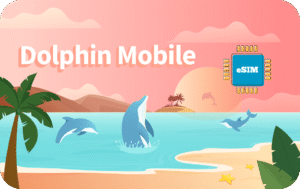 Dolphin Mobile 5 GB - 30 Days