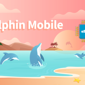 Dolphin Mobile 5 GB - 30 Days