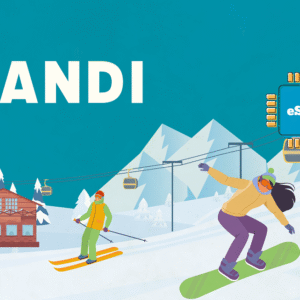 Handi 20 GB - 30 Days