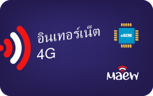 Maew 3 GB - 30 Days