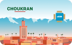 Choukran Unlimited - 10 Days