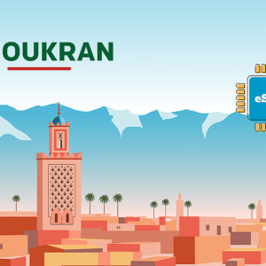 Choukran Unlimited - 10 Days