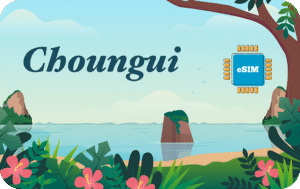 Choungui 20 GB - 30 Days
