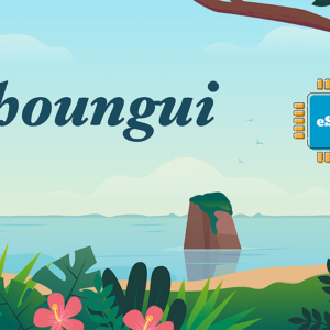 Choungui 20 GB - 30 Days