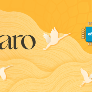 Paro 1 GB - 7 Days