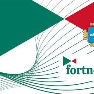 Fortnet 5 GB - 30 Days