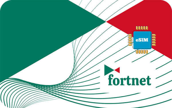 Fortnet 3 GB - 30 Days