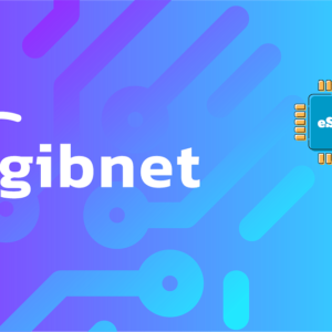 Gibnet 10 GB - 30 Days