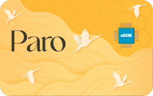 Paro 5 GB - 30 days