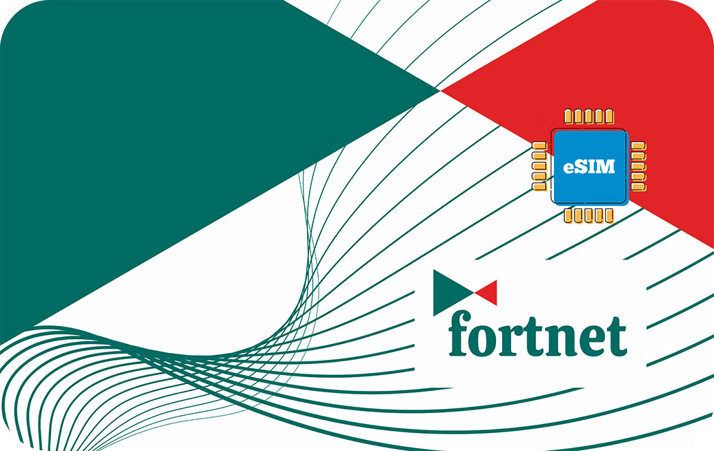 Fortnet 5 GB - 30 days